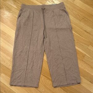 Talbots Women’s Brown Joggers